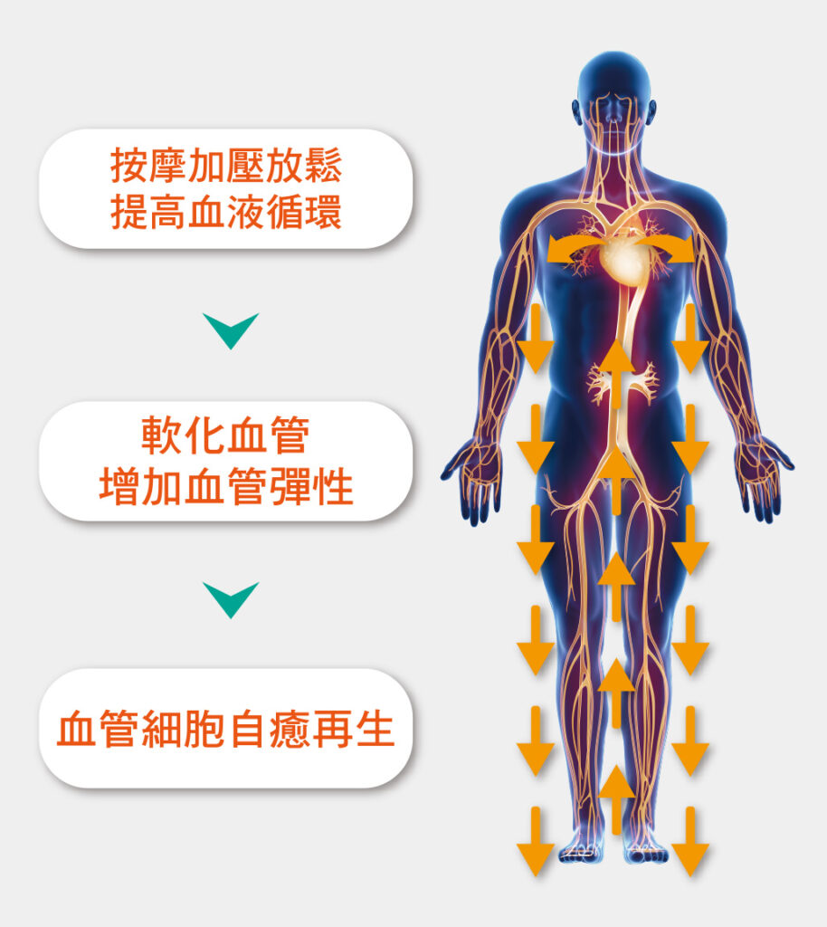 EECP體外反搏 免動刀 讓心血管重拾健康