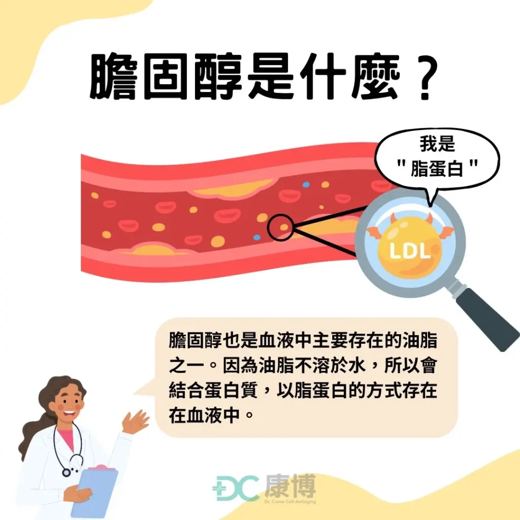 膽固醇是什麼?