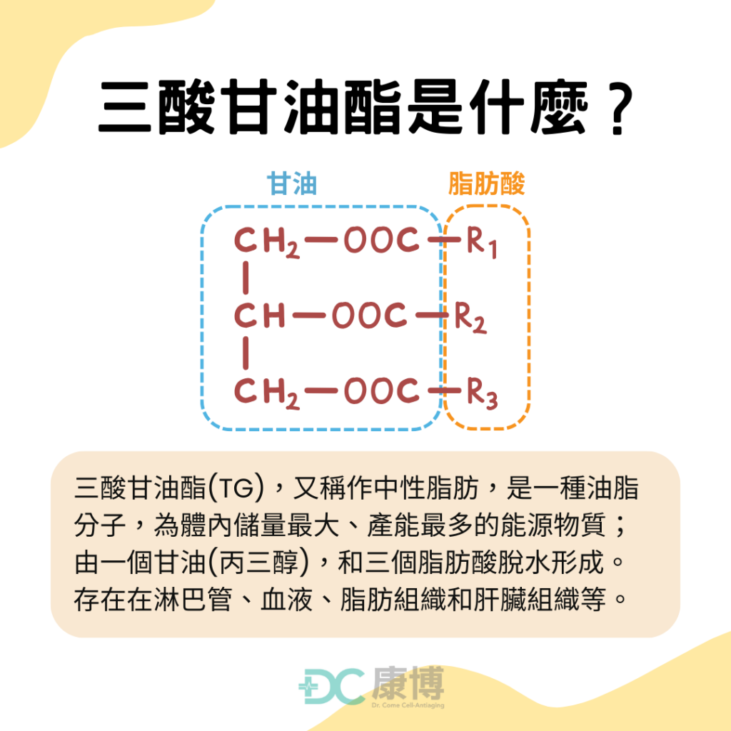 三酸甘油酯是什麼?